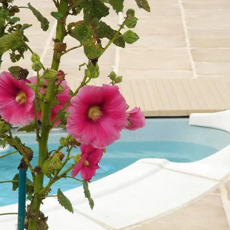 Maison Confortable + Piscine *