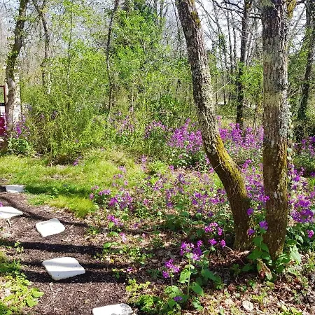 Maison Confortable + Piscine