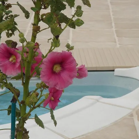 Maison Confortable + Piscine Bussac-Foret