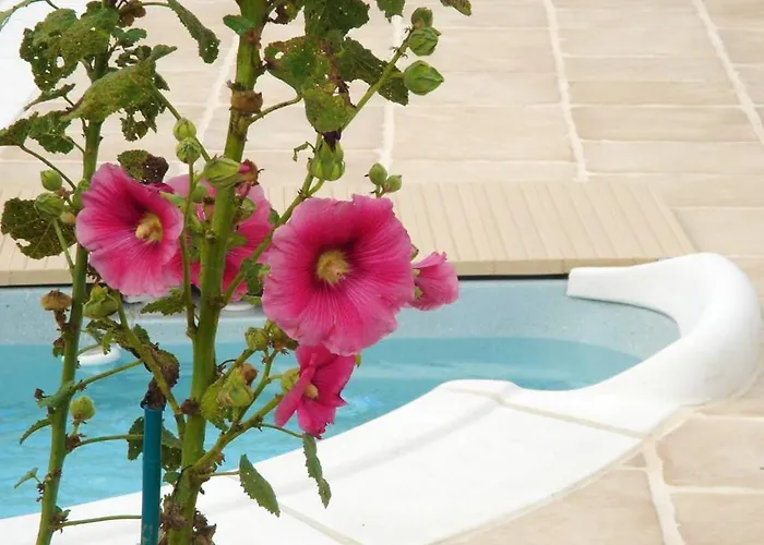 Maison Confortable + Piscine *